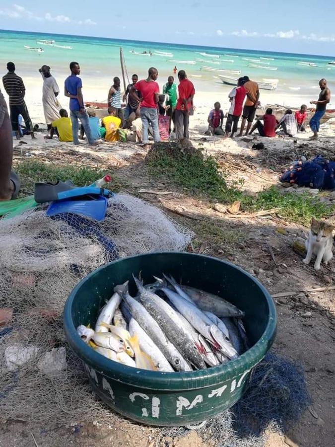 Shanka Lodge Zanzibar Kizimkazi Luaran gambar